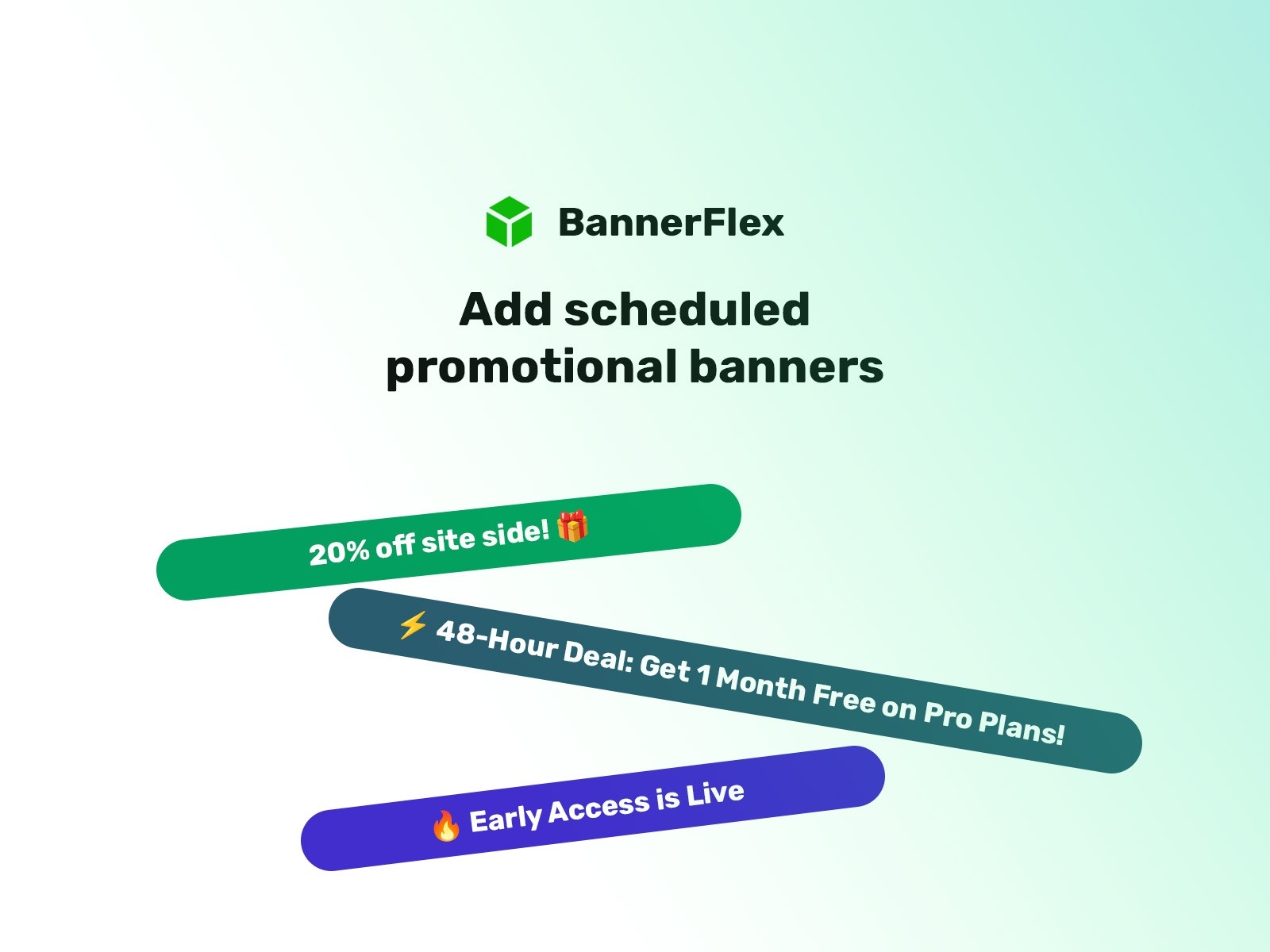 BannerFlex