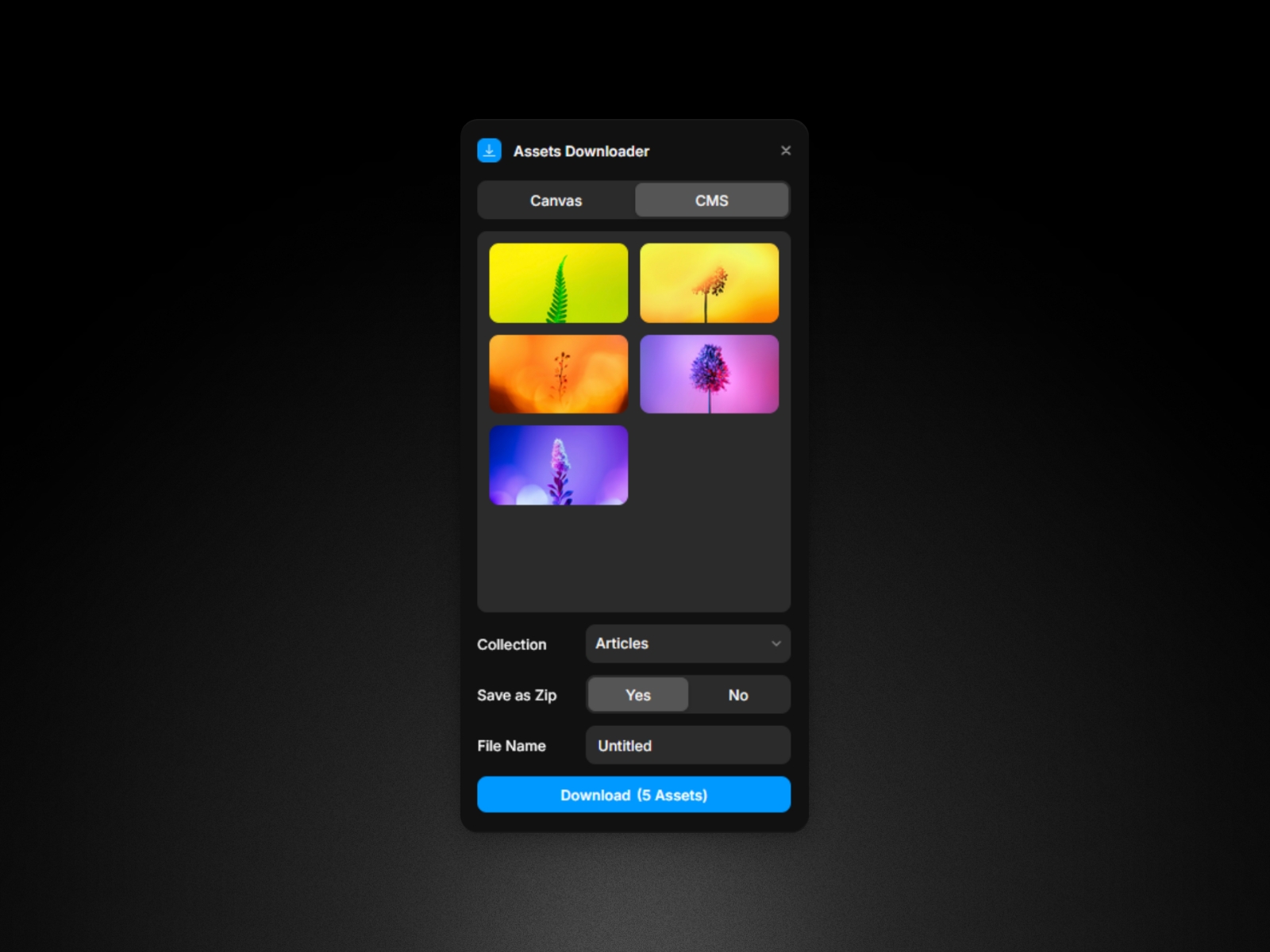 Assets Downloader