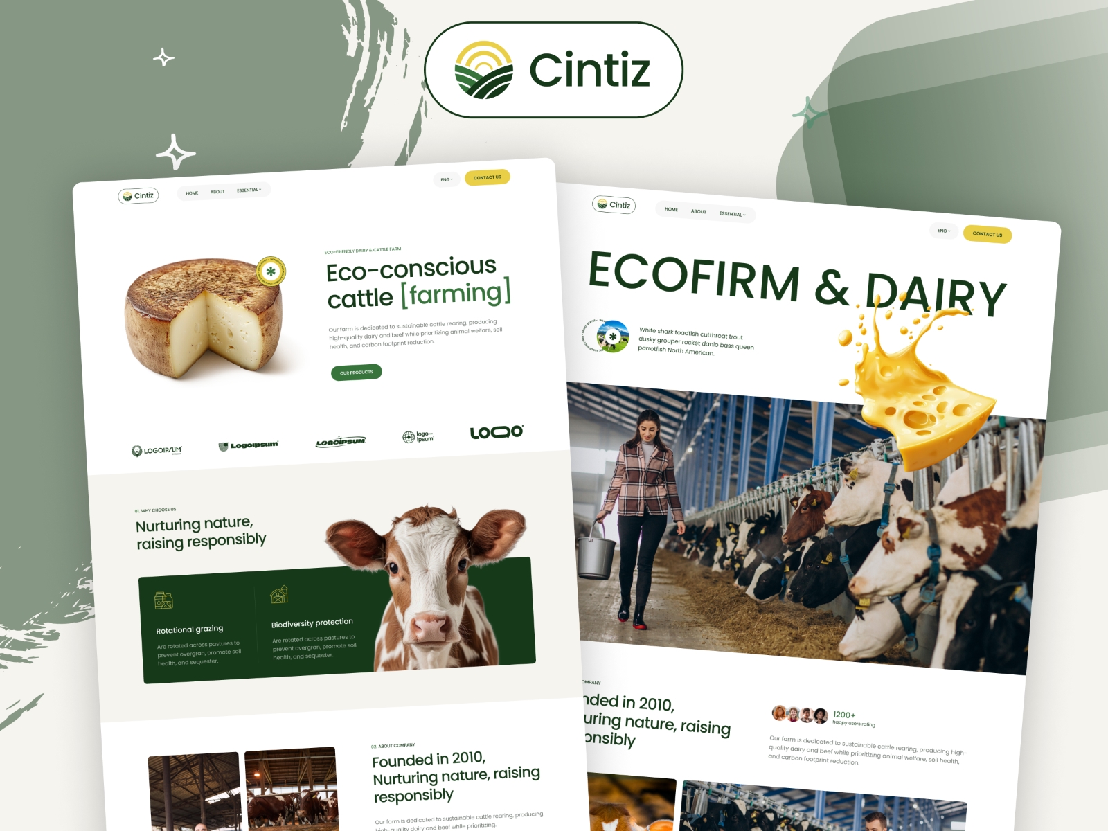 Cintiz