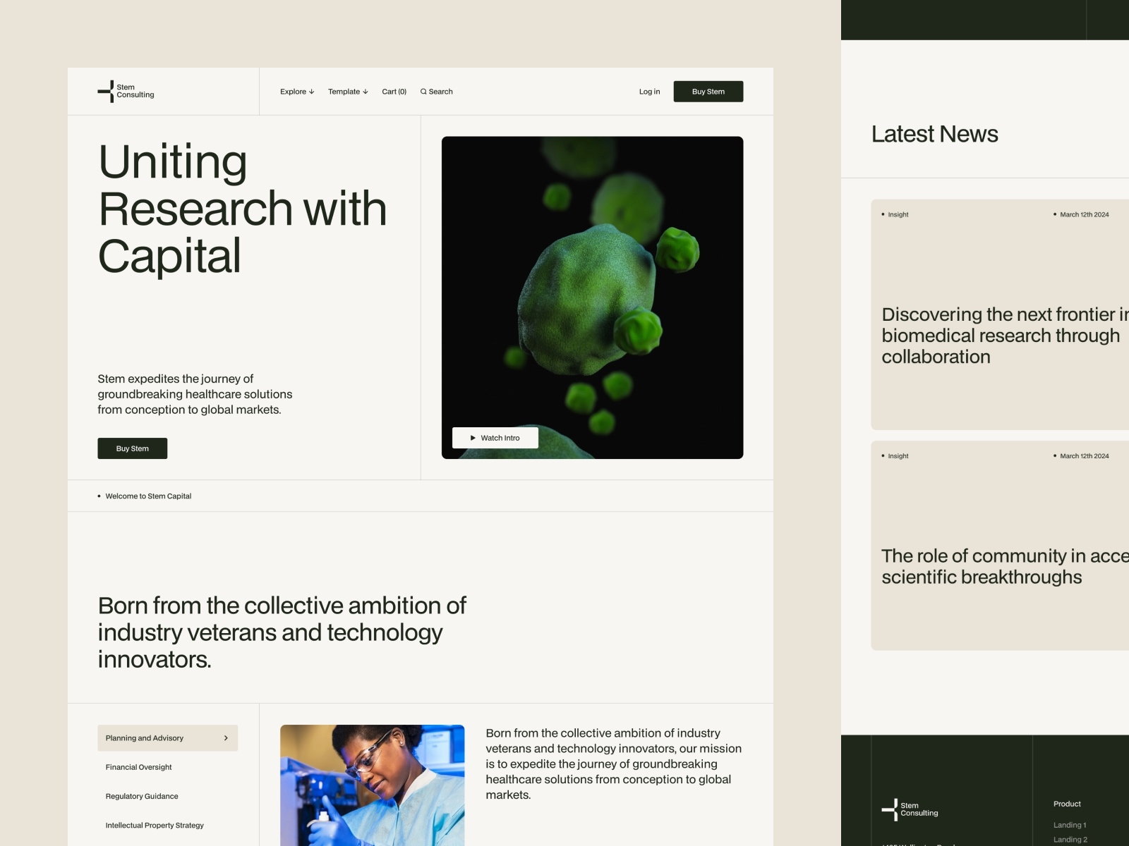 Stem Capital