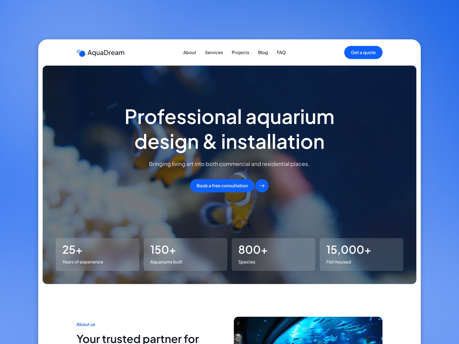 Aquadream